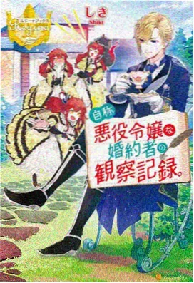 红果小说《星轨之外》封面